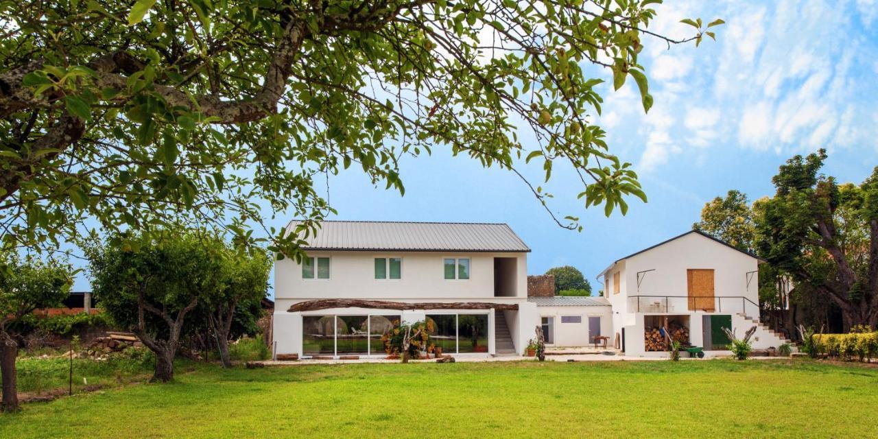 Casa De Arcos ξενώνας Anadia Εξωτερικό φωτογραφία