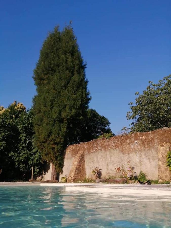 Casa De Arcos ξενώνας Anadia Εξωτερικό φωτογραφία