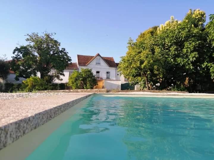 Casa De Arcos ξενώνας Anadia Εξωτερικό φωτογραφία